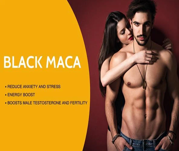 black maca root extract powder1