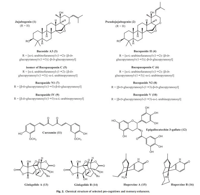 Chemical structure of selected pro-cognitives and memory enhancers.