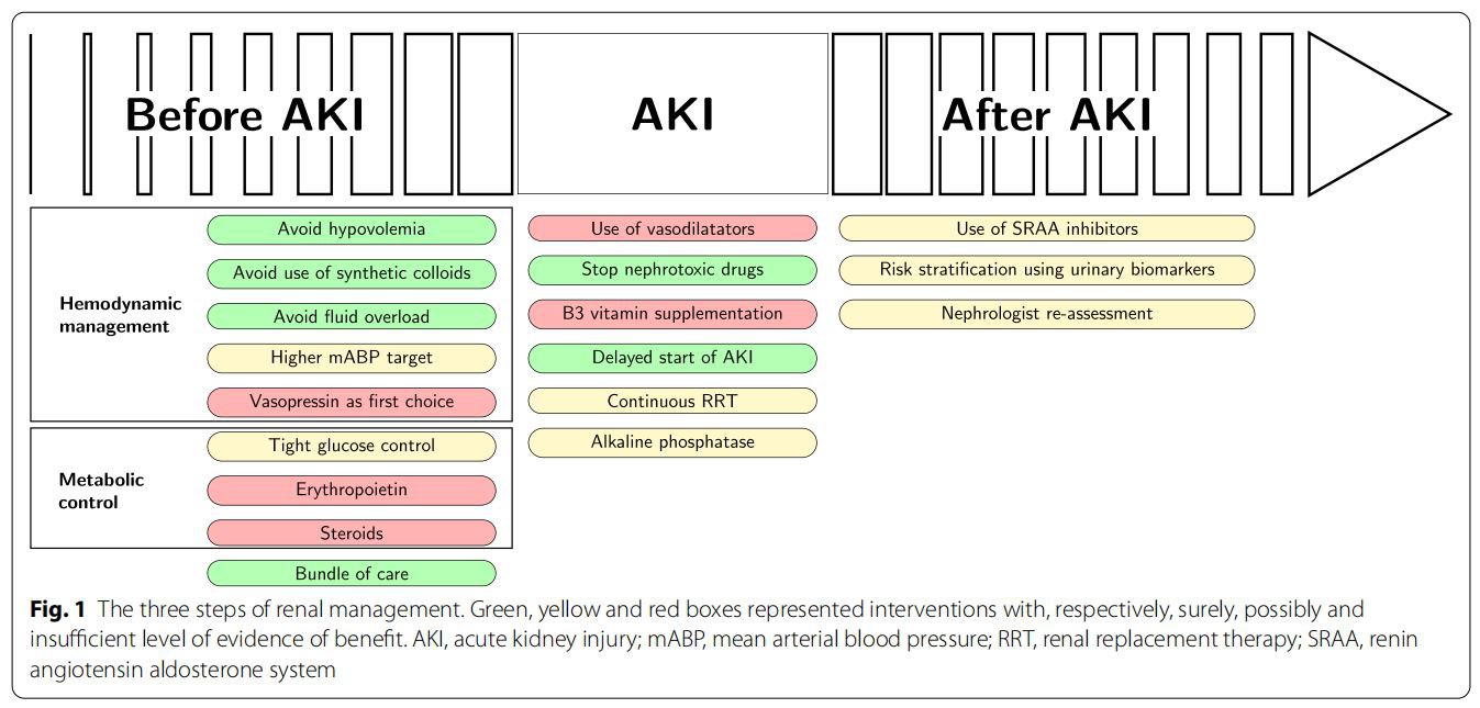 Fig. 1 The three steps of renal management. Green, yellow and red boxes represented interventions with, respectively, surely, possibly and  insufcient level of evidence of beneft. AKI, acute kidney injury; mABP, mean arterial blood pressure; RRT, renal replacement therapy; SRAA, renin  angiotensin aldosterone system