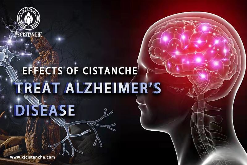 neuroprotection-cistanche