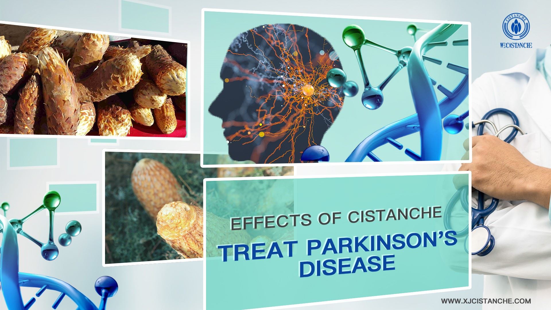 the way to prevent parkinson's disease