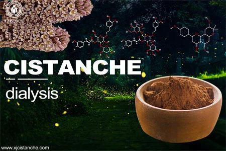 Cistanche-kidney dialysis-3（21）