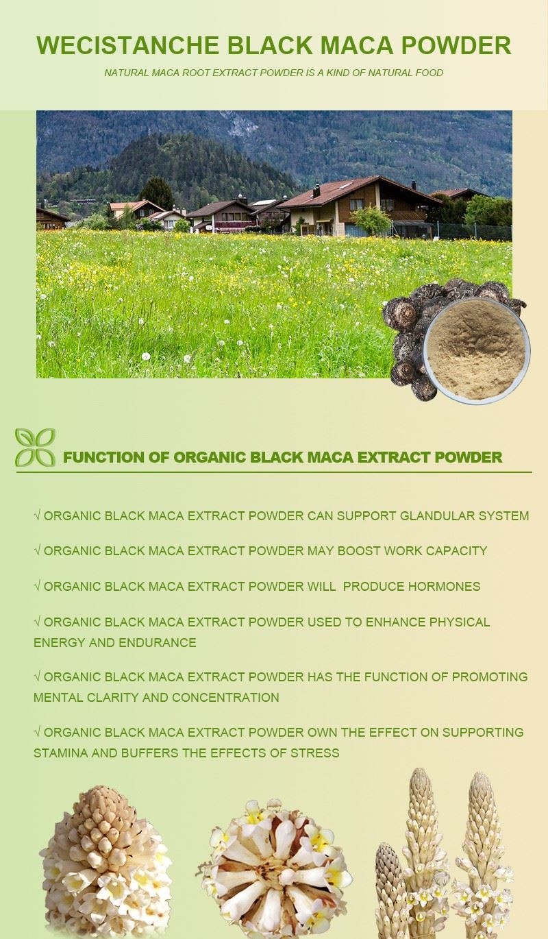 Black-Maca-Powder