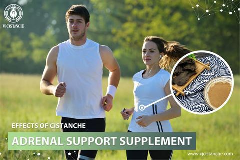 amway nutrilite cistanche:adrenal support supplement amway nutrilite cistanche:adrenal support supplement