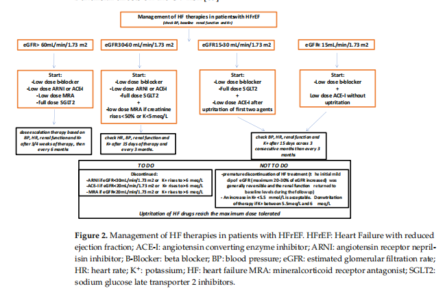 Figure 2. Management of HF therapies in patients with HFrEF