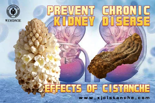 prevent ckd