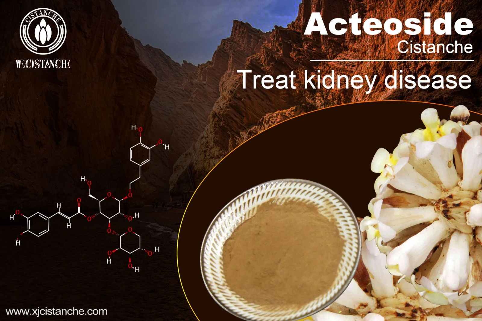 treat kidney disease