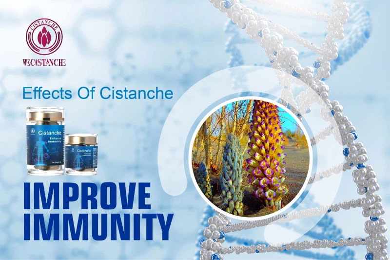 cistanche penis growth