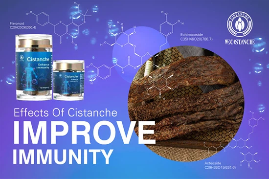 Cistanche deserticola—improve immunity (7)