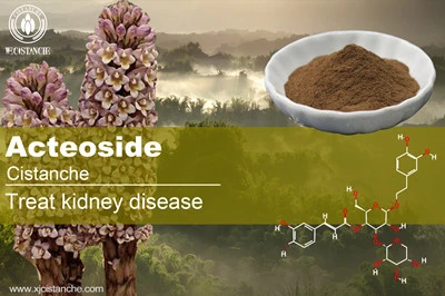 Cistanche benefits