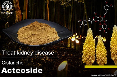Cistanche benefits