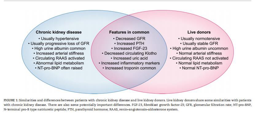 cistanche pros and cons