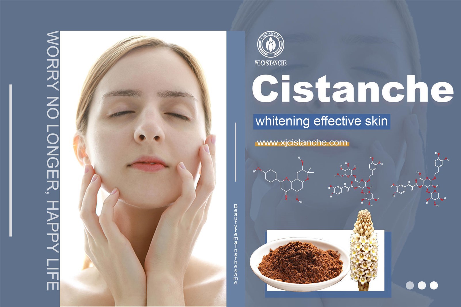 cistanche tubulosa adalah