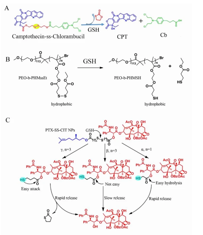anti-oxidation cistanche research anti-oxidation cistanche research
