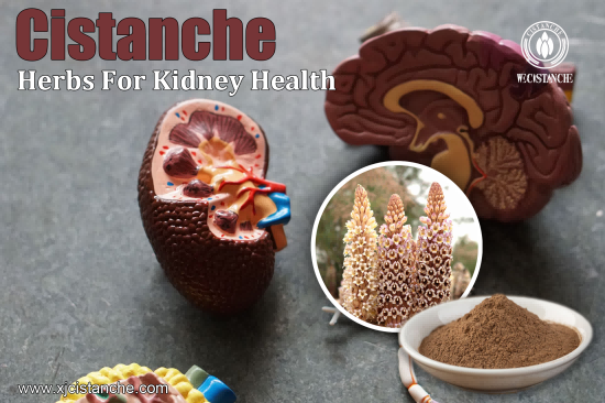 kidney disease