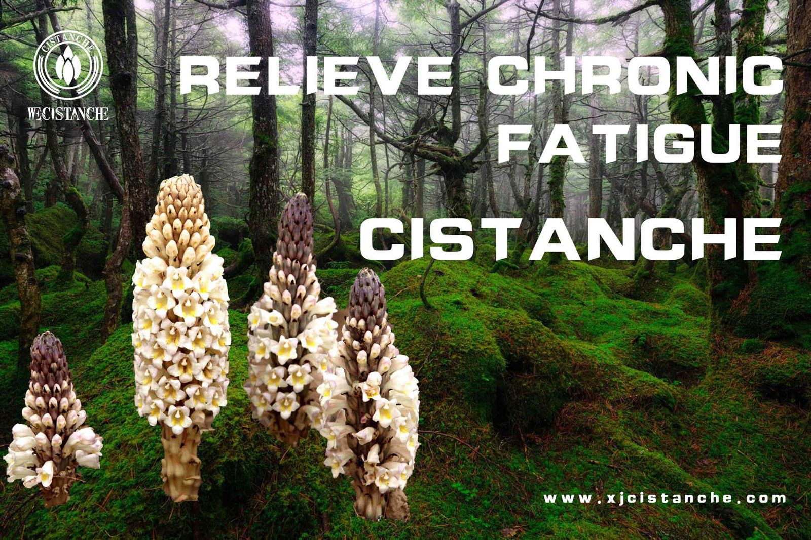 chronic fatigue syndrome (2)