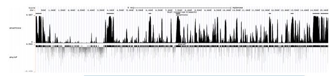 Figure 6. Conserved segments in the genome of CHsx1401 strain predicted by PHAST