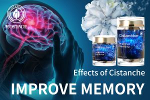 improve working memory