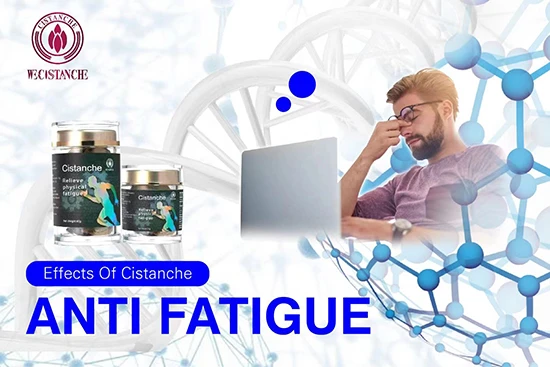 effects of cistanche-anti fatigue (8)