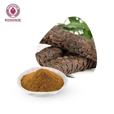 سیستانچ