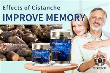 بهبود حافظه و پیشگیری از بیماری آلزایمر به آن تکیه کنید! سیستانچ جینسینگ صحرا