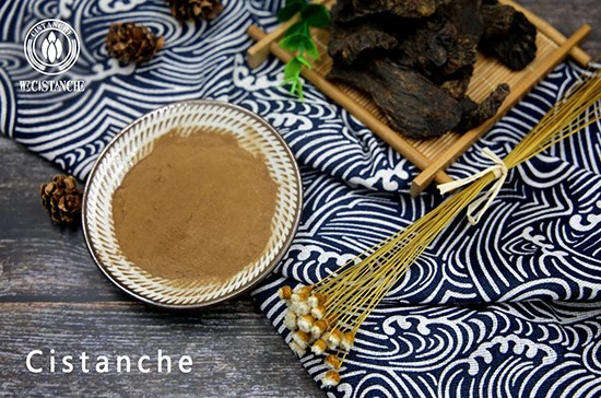 Cistanche tubulosa extract products Cistanche tubulosa extract products