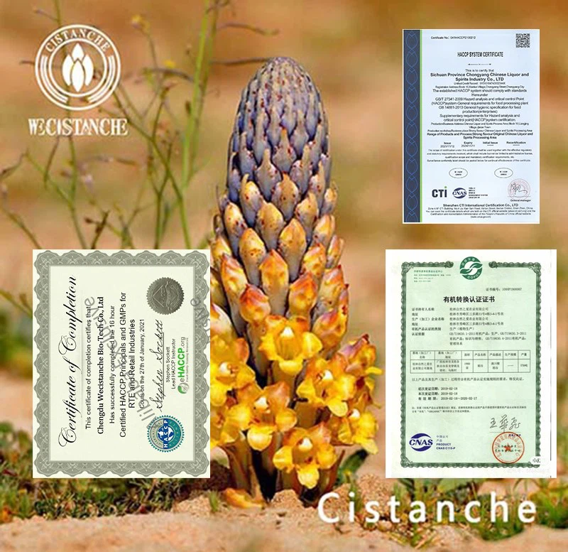Organic Cistanche Organic Cistanche