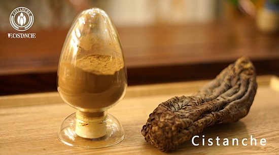 Cistanche extract 3 Cistanche extract 3